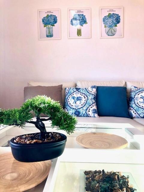 Gatu Premium Atico Parra, Parking, Piscina Comun, Terraza, Wifi , " Preferente Mayores De 25 Anos Y Familias " El Puerto de Santa Maria Bagian luar foto